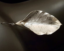 Ladda upp bild till gallerivisning, MIARA - Örhänge - singel - sötvattenspärla, vit
