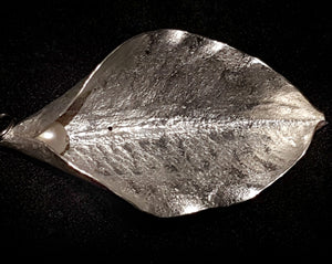 MIARA - Earring - single - freshwater pearl, white